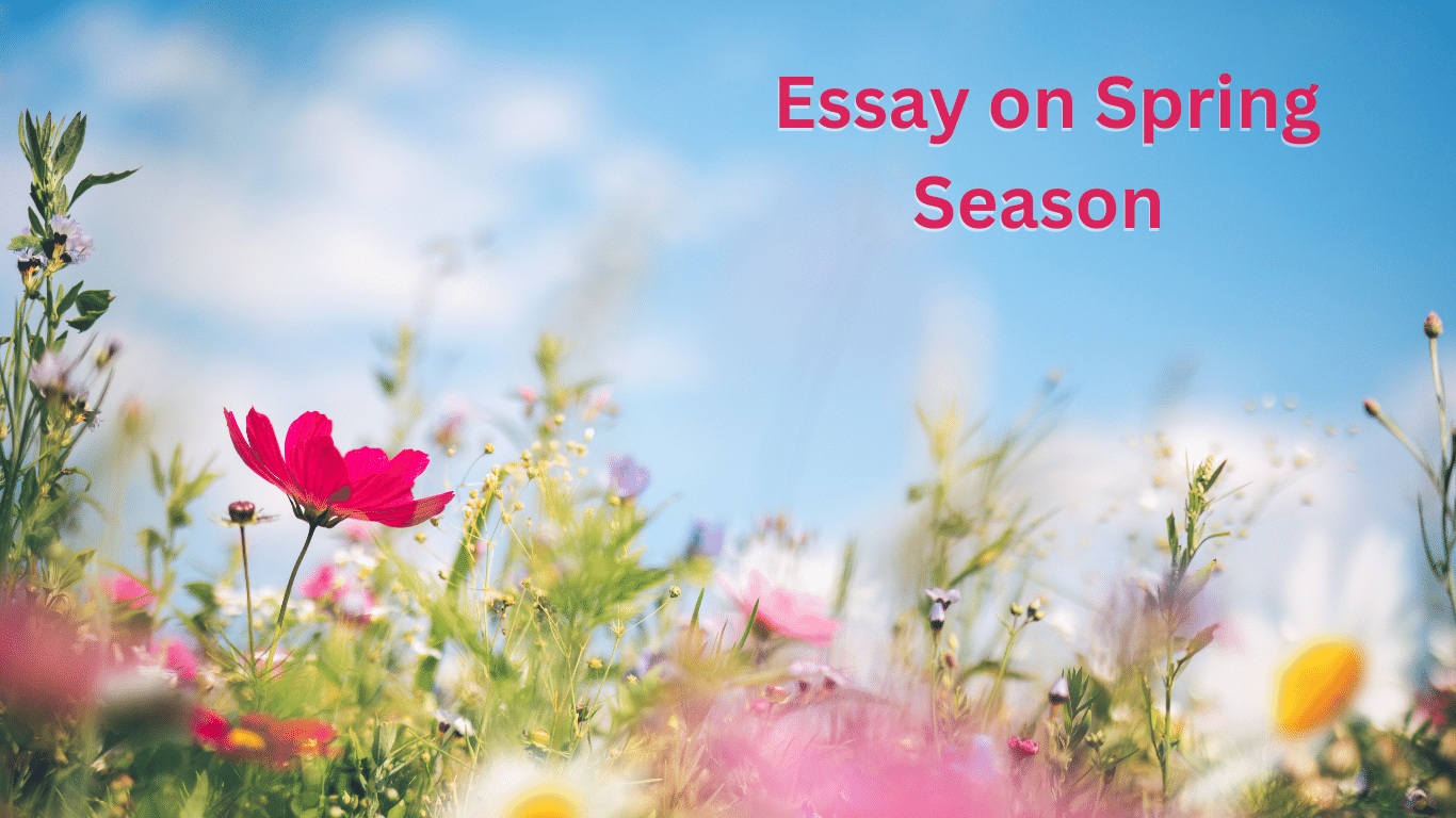 Essay on spring season in hindi